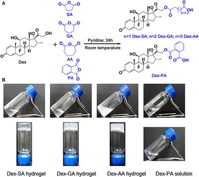 Effects of Terminal Motif on the Self-Assembly of Dexamethasone Derivatives